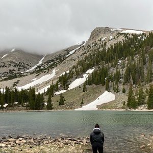 Meet your Posher, Alli